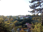 IMG-20191007-172731