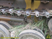 IMG-7731