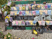 IMG20261017124142