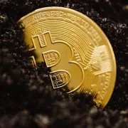 동부자동차보험