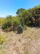 IMG-20241105-121233