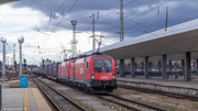 IMG-2765