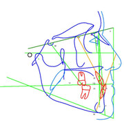 Whats App Image 2026 03 05 at 20 43 55 (3)