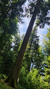 20260809-141114.jpg