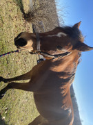 0011E2F4-457A-43DE-9E0B-26CFE6595AB5