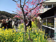 photo 22 2025 12 17 21 28 21