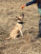 IMG_20230416_173437_524