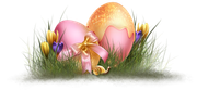 0-1c1b38-97ed805c-orig