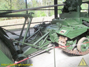 IMG-5807