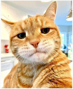 https://i.postimg.cc/KR81HFH3/image-2022-01-29-144205.png