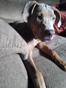 IMG_20220701_183224578