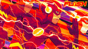 flash7wp