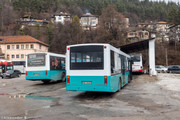 IMG-3387