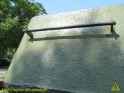 IMG-5493