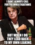 FeinsteinInvestigateHerself