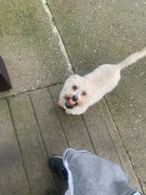 D04DB705-A4EA-45FD-8A8A-680C1BD7D449