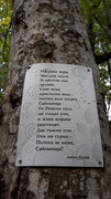 20190907-141041