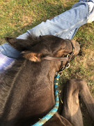 578397E3-1B95-4D0D-9958-6DE92EA13ABC