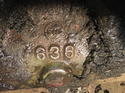 IMG-8732