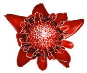 Blossom-Elements-7