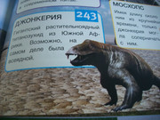 https://i.postimg.cc/KRY5w02g/100-8103.jpg