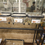 WhatsApp Image 2025-04-04 at 1.15.42 PM