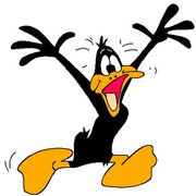 Daffy-Duck