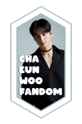 banner09chaeunwoofandom