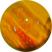 4DE56672-280E-4F99-AA12-BB092E98EF1F