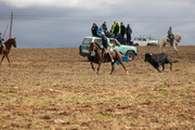 IMG-0063