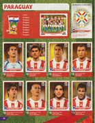 Album-Panini-Sudafrica-2010-48
