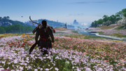 GhostOfTsushima_2024_06_15_22_56_12_216