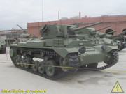 IMG-1566