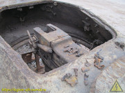 IMG-5224