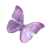 tumblr_6c0f24453a75d12da91ad74e2416953a_3eab442d_400