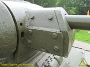 IMG-7513