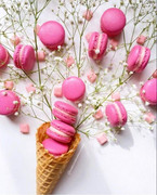 https://i.postimg.cc/KRx3h34B/FB-IMG-1706073170159.jpg