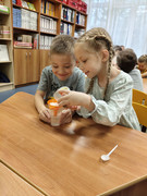 IMG 20260129 215424 648