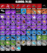 gliders-comp