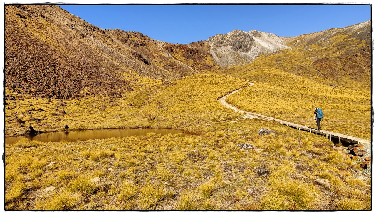 Fiordland NP: Kepler Track (febrero 2022) - Escapadas y rutas por la Nueva Zelanda menos conocida (18)