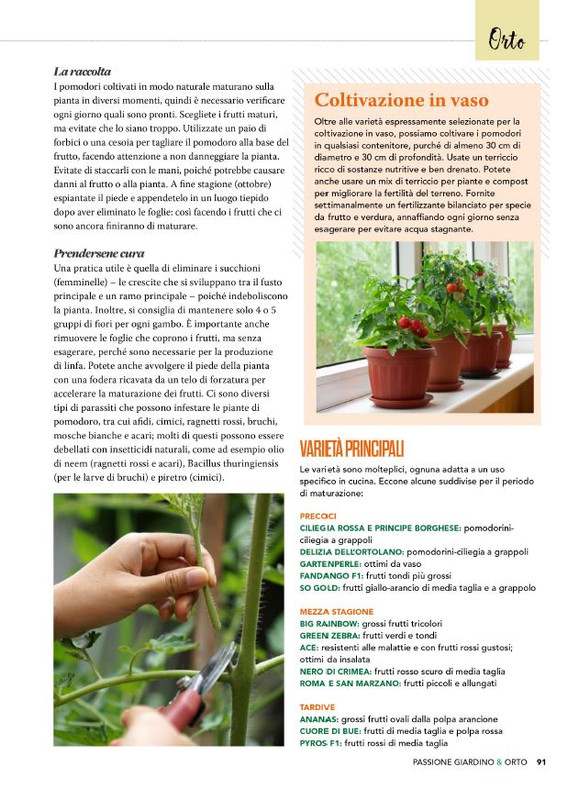 Pass Giar e Orto Giu 2025 (10)