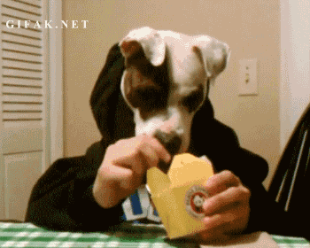 giphy-5.gif