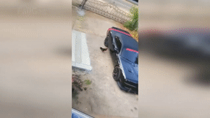 RANDOM-FUNNY-VIDEOS-70-FUNNY-FAILS-Compilation-Fail-Gag.gif