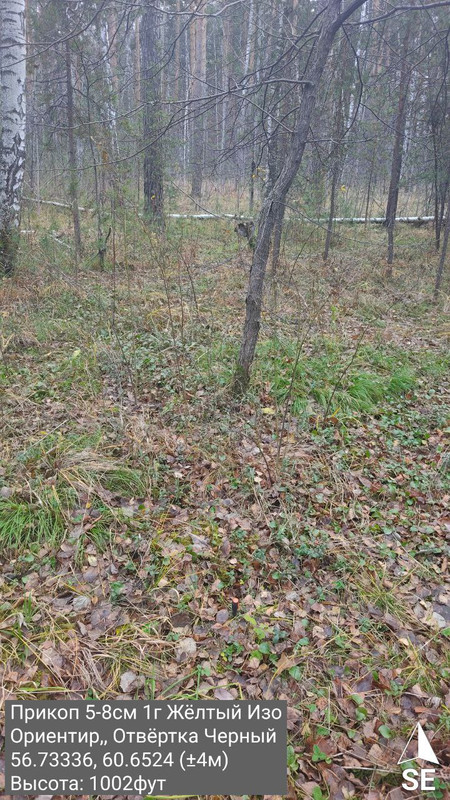 photo 2025 10 27 14 22 40 2