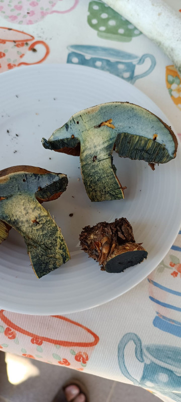 WhatsApp Image 2023-08-02 at 16.58.30 (2)