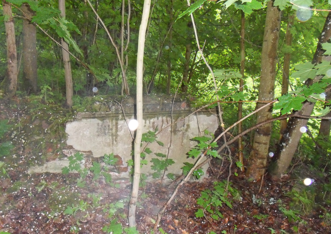 15 - Resztki dworu w Gardzieniu (Czesio1)