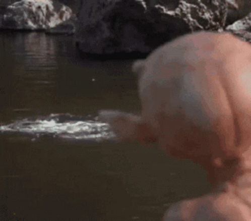 50132-E03-F15-A-4541-98-F3-B937-D99-AC269.gif