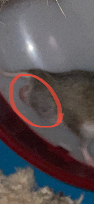 F150B7EF-BC1E-402D-B6D3-AC9B8F4617E0