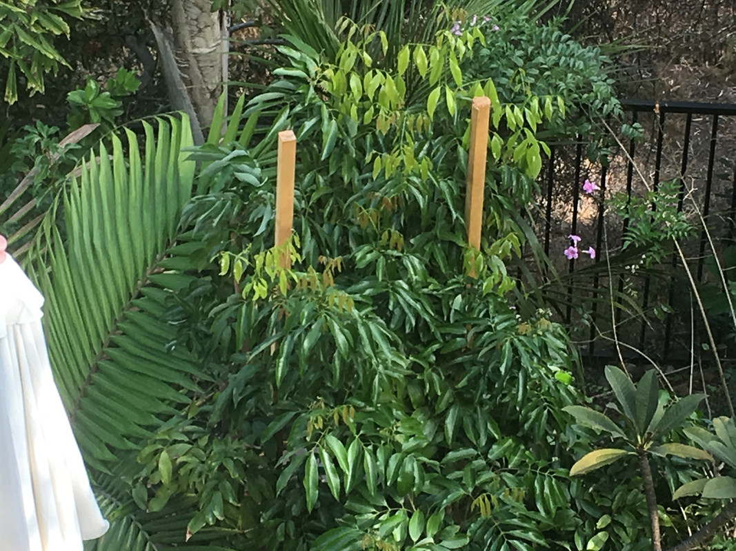 36628C9E-8595-4CEA-A7AB-FA8D5CC051A9