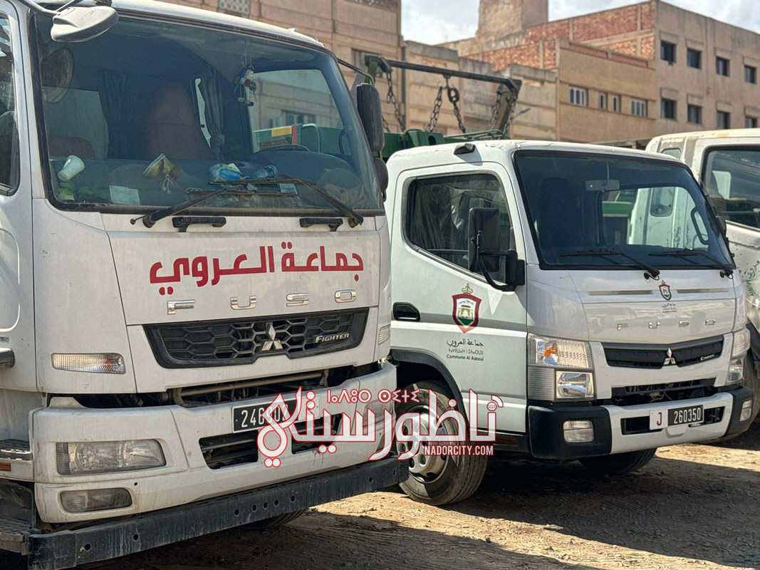 WhatsApp Image 2025-10-09 at 16.40.39 (4)